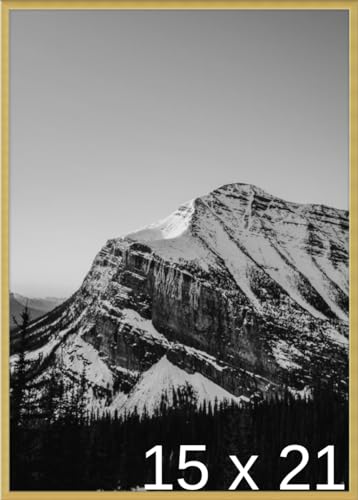 Frame It Easy 15 x 21 Gloss Gold Metal Frame (Ashford)