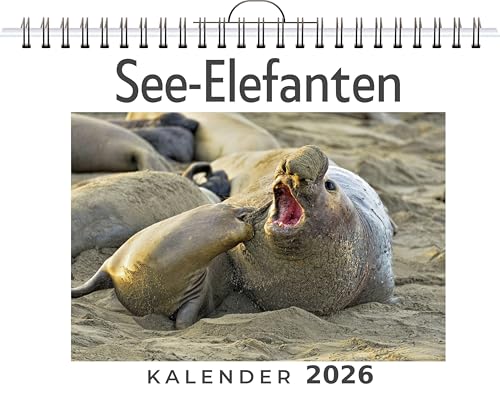 See-Elefanten: (Wandkalender 2026, Kalender DIN A4 quer, Monatskalender im Querformat mit Kalendarium, das perfekte Geschenk)