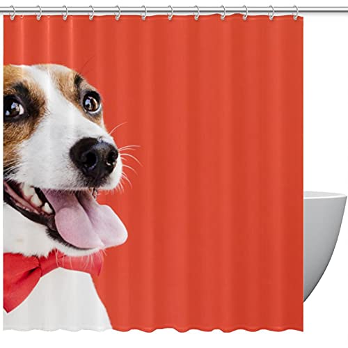 Rideau de douche chien mignon 183x183 textile lavable - 2