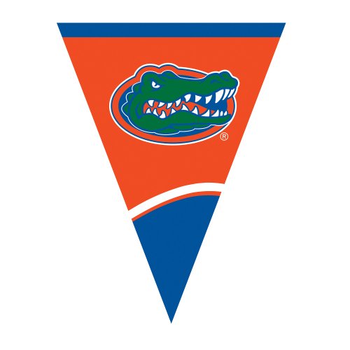 Creative Converting University of Florida Plastic Flag Banner, 9-Feet