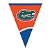 Creative Converting University of Florida Plastic Flag Banner, 9-Feet