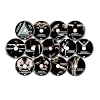 P90X DVD Workout Base Kit, Home Gym Bodyweight Exercise Program, Digital Fitness Guide and Nutrition Guide Included, 12 Fitness DVDs [dvd] [2012]
