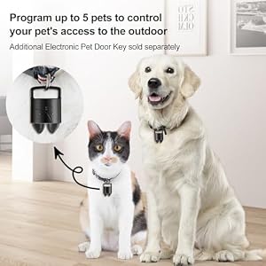 Good Digital Pet Door, Computerized Canine Door with 3 Modes, Battery Powered Digital Sensor Pet Door with 1 Sensing Key, Match for Massive Pets As much as 85lbs. (Not WiFi Linked/App Enabled) Good Digital Pet Door, Computerized Canine Door with 3 Modes, Battery Powered Digital Sensor Pet Door with 1 Sensing Key, Match for Massive Pets As much as 85lbs. (Not WiFi Linked/App Enabled)
