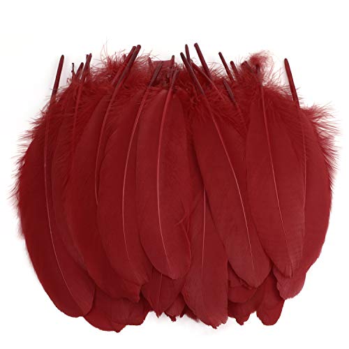 100 Bunte Gänsefedern – Naturfedern Für DIY, Schmuck, Deko & Kostüme (15–20 Cm)