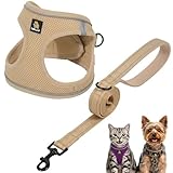BELLA & PAL Harnais Anti Traction pour Petit Chien et Chiot avec Laisse, Ajustable Sans Étranglement, Maille Aérée, Bande Réfléchissante, Kaki, Taille XXS