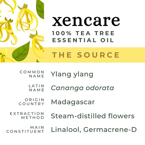 Aceite Esencial Puro Ylang Ylang USDA Orgánico 10ml miniatura 2