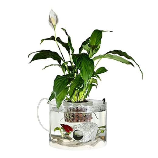 Aquaponics Fish/ Betta Acrylic Tank and Hydroponic Planter, 2.2 Gallon, Growing System and Plant Holder