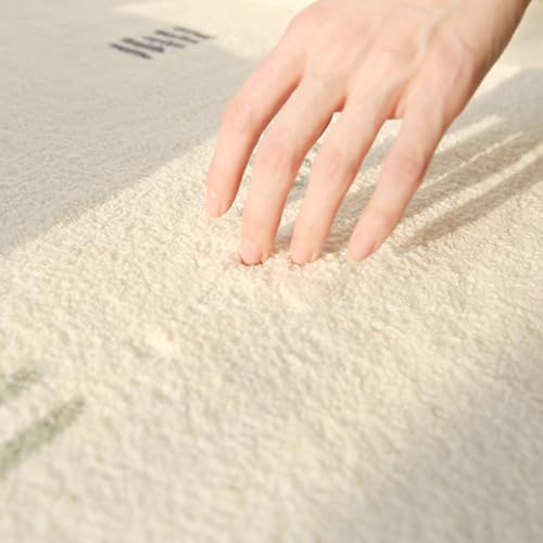 Tapis de chambre à coucher doux pour des matins confortables