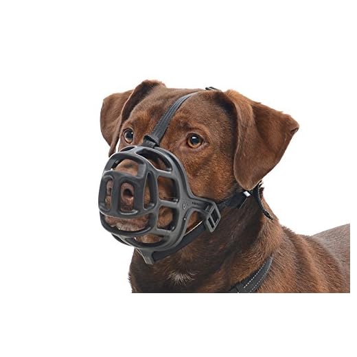 Kruuse Focinheira Extreme Dog, tamanho 3