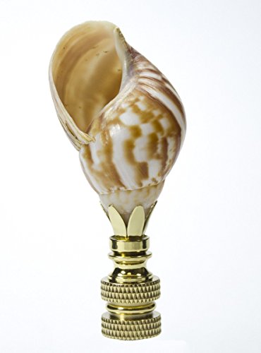 Image of Snail Sea Shell Lamp Finial with Polished Brass Base 3.25 inch h