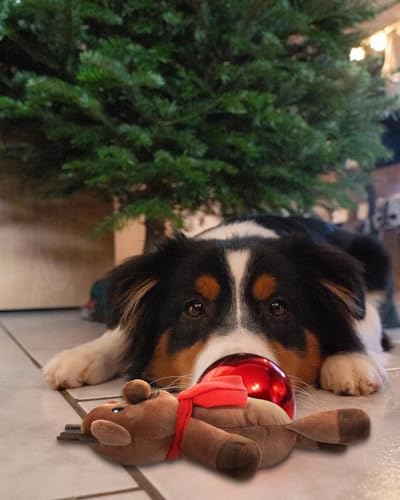 Juguete de peluche reno para perros pequeños y medianos miniatura 5