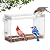 Window Bird Feeder, Clear Birdfeeder with Strong Suction Cups, Large Viewing Window Feeder with Large Capacity Detachable Seed & Water Tray