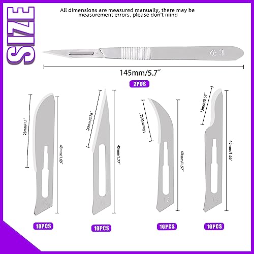 Sweet 42-Piece 4-Styles Scalpel Blades Kit with #3 Handle, Surgical Grade, for Biology Lab
