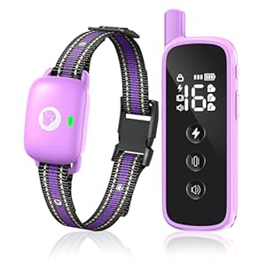 Dog Shock Collar – 2600FT Dog...
