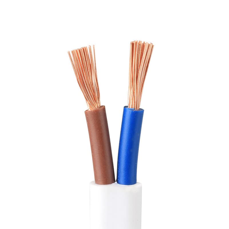 ERBER Alambre con Revestimiento Paralelo Plano 2 núcleos 18/17/15/13/11AWG Cable de alimentación con Revestimiento de PVC con núcleo de Cobre Puro (Color : 2cores 10meter, Size : 11 AWG)