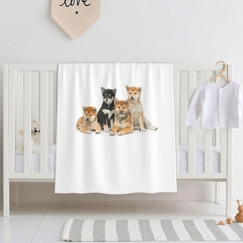 xr[ѕz Č    r[uuPbg |ѕz  uPbg ^IPbg ʋC q ۈ牀 [΍ GARpi lGʗp ?蕨 125X150cm