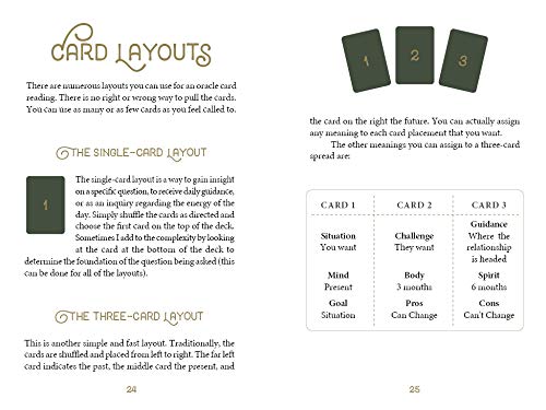 The Wild Elemental Oracle: (Oracle Kit Box Set with 44 Cards and Guide Book) - Image 4