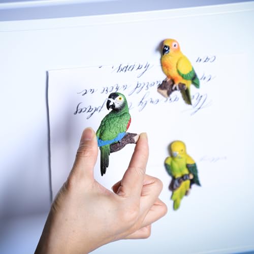 5 imanes de loro decorativos para refrigerador miniatura 5