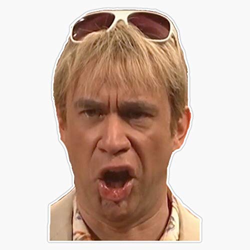 MAGNET What are YOU doing here? Magnetic Bumper Sticker 5"