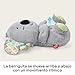 Imagen de Fisher-Price Koala Hora de Dormir