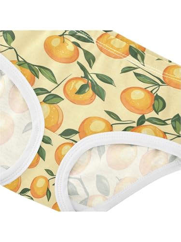 ZZKKO Orange and Leaves Girls Underwear Toddler Panties for Girls Comfort Brief Size 2-8T4