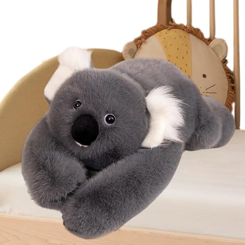 ʂ, dݕt AQ bNX, ʂ vbV RA i}Pm , \t@ExbhEJE`EfXNEJ[V[gEEEj̎qE̎qERN^[EeB[EX