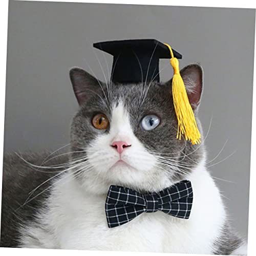 Set disfraz de graduación para perros y gatos miniatura 5