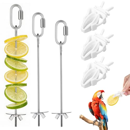 6 PCS Bird Treats Skewer, Parakeet Hanging Food Holder, Bird Cage Food Holders, Stainless Steel Fruit Vegetable Stick Holder for Hanging Birds Foraging Toys for Macaw Parakeet Budgie (3 Sizes) - image 8