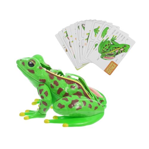 TOBBOMEY Frog Dissection Kit for Educational Anatomy Model Enhancing Science Knowledge and Hands Learning Develops Observation Logical Thinking and Fine Motor Skills
