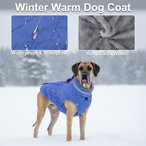 Abrigo de invierno para perro con cremallera azul talla L 3