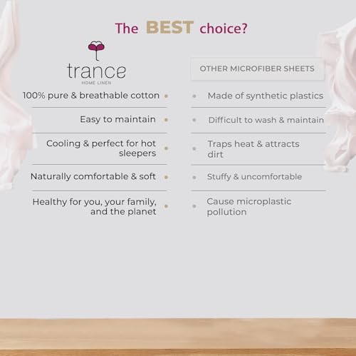 Trance Home Linen 400 TC Pure 100% Cotton Plain King Size Bedsheet with 2 Pillow Covers (108 x 108 Inch|9ft x 9ft, Sky Blue)