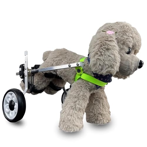 Silla de ruedas para perros y mascotas lesionadas que desean volver a correr juntas