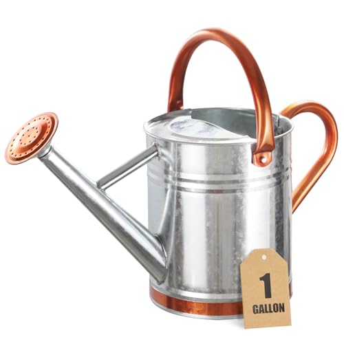 CherHome Regadera para plantas de exterior y plantas de interior, maceta de riego de plantas de 1 galón con boquilla extraíble, maceta de riego de metal para jardín, regadera de acero galvanizado para