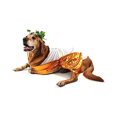Disfraz Toga Halloween para Perro Talla Large miniatura 3
