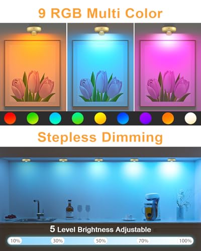 WILLED Luzes de pôster, luzes de imagem RGB, iluminação de exibição de arte para pinturas, bateria r