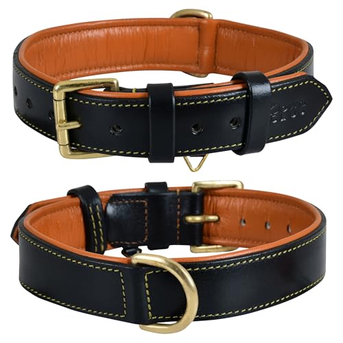 DowgClub Full Grain Leather Collar