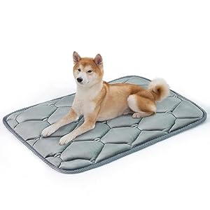 Geegoos waschbare Hundekäfigmatratze für 30-Zoll-Käfige
