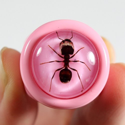 REALBUG Ant Pink Ring Size 72