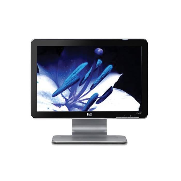 Buy HP W1707 17-inch LCD Monitor Online 