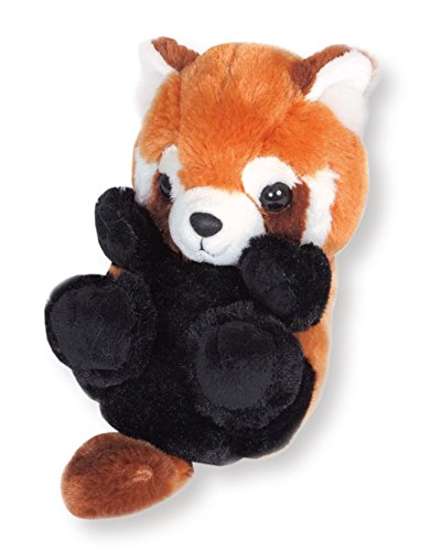 三英貿易 きゅんきゅんコロン レッサーパンダ ぬいぐるみ 高さ11cm