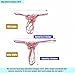 Sekexi Fashion Women Sexy Underwear Cutout Pendant Pearl Beads Embellished Lace Butterfly G-String Thong Underpants Pink