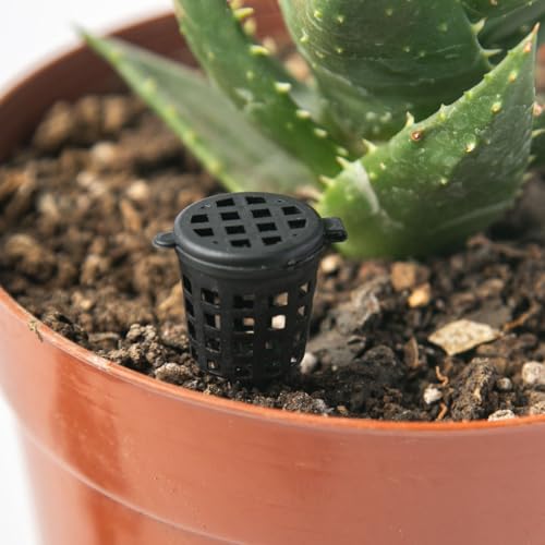 Caja fertilizante portátil plástico 20 piezas 5x2cm miniatura 7