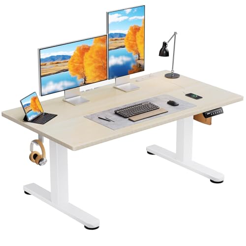 電動 昇降式デスク ロータイプ 幅120cm コンセント&USBポート付き 高さメモリー機能 上下自動昇降 静音 収納フック付き 高さ調節 ローデスク pc パソコンデスク ゲーミングデスク 学習机【幅120 x 奥行き60 x 高さ48-72cm】(ナチ