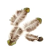 HBALDTEDC
