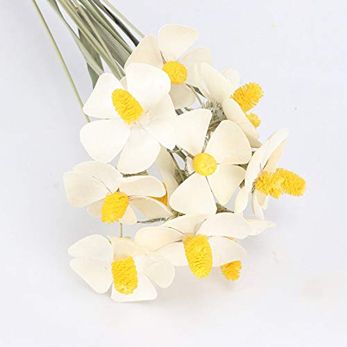 SaditY 12 Flores Secas Naturales para Decoración miniatura 1