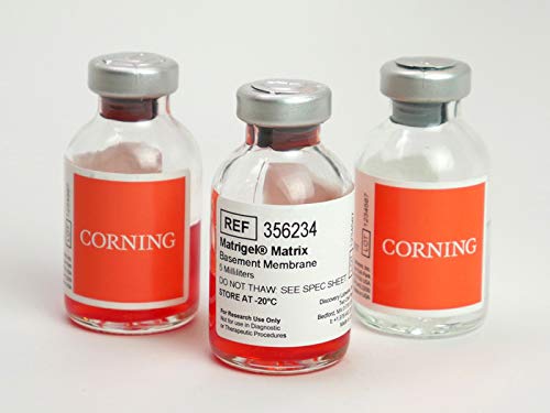 CORNBIO - Corning Matrigel Basement Membrane Matrix- Pheno l Red-Free- LDEV-Free- 10 mL, EA1