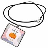 3dRose Image of Pumpkin How Big is Your Baby Week 38 - Necklace with Pendant (ncl-388490-1)