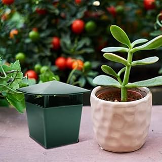 Yajuyi Friendly Cage Slug House Catcher Per Tool, （ to Vegetable and Flower） - Can Reusable, 10x11cm