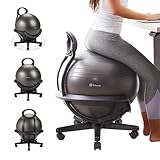 Gaiam Ultimate Swivel