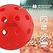 PHYSIZZ Pickleballs Pickleball Balls | Outdoor or Indoor Pickle Ball Set | USAPA Approve Pickleball (12 Red Outdoor Balls)